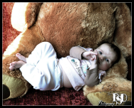 Comfy Baby Photographer Johannesburg DSD