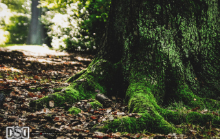 London Wedding Photographer| Dewan Demmer Photography